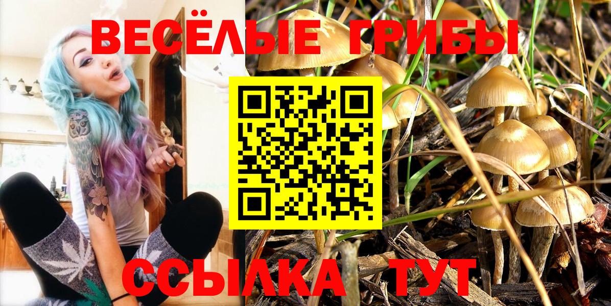 Псилоцибиновые грибы ЛСД Буйнакск