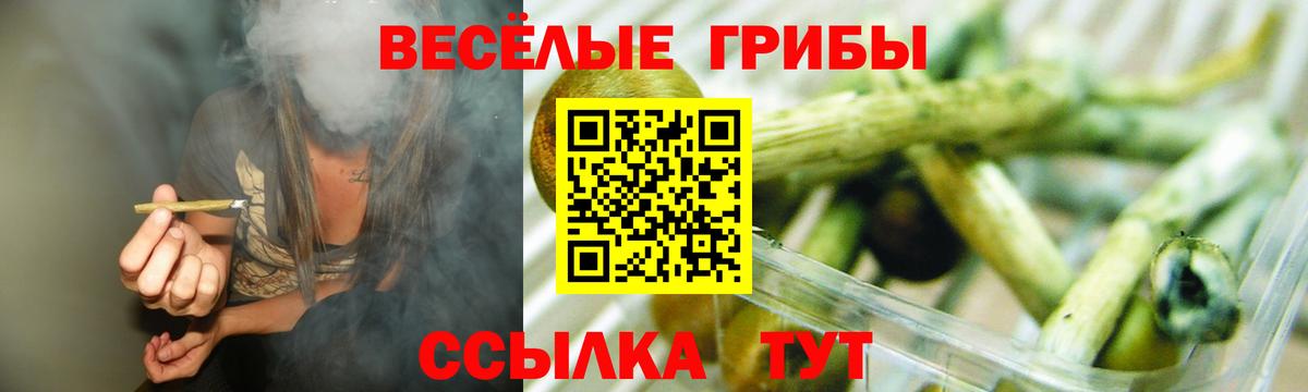 Псилоцибиновые грибы прущие грибы  Псилоцибиновые грибы мухоморы  Вход с VPN  Буйнакск 